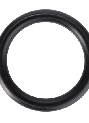 An AGCO Massey Ferguson O-Ring (V614602950) from the 4400 Series is showcased on a white background. Circular in shape, it is typically used for sealing connections in various mechanical systems.