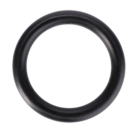 An AGCO Massey Ferguson O-Ring (V614602950) from the 4400 Series is showcased on a white background. Circular in shape, it is typically used for sealing connections in various mechanical systems.