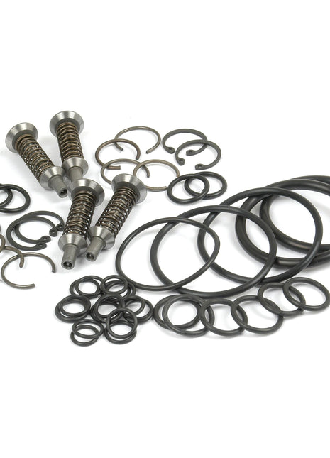 Valve & O\'Ring Kit
 - S.42009 - Massey Tractor Parts