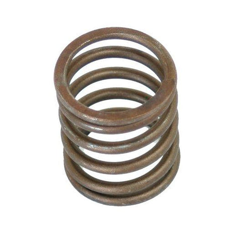 Valve Spring - Outer
 - S.30015 - Massey Tractor Parts