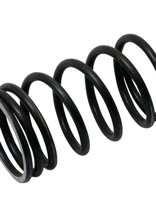 Valve Spring - Outer
 - S.40504 - Massey Tractor Parts
