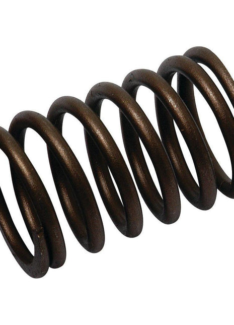 Valve Spring - Outer
 - S.40505 - Massey Tractor Parts