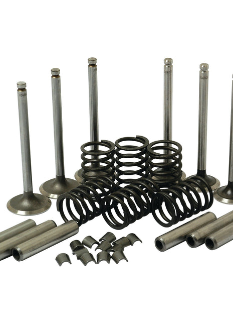 Image shows a Valve Train Kit | Sparex Part No. S.41587 for Perkins engines, featuring intake and exhaust valves, springs, retainers, and guides arranged in three neat rows by the brand Sparex.