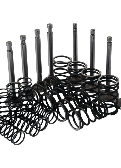 The Valve Train Kit - S.41946 by Sparex, featuring assorted intake valves, exhaust valves, and valve springs, is arranged in rows on a white background.