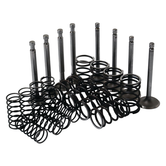 The Valve Train Kit - S.41946 by Sparex, featuring assorted intake valves, exhaust valves, and valve springs, is arranged in rows on a white background.