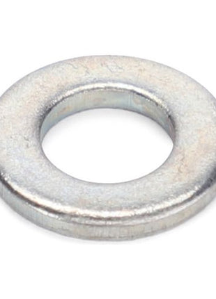 Washer Flat M6 - 390971X1 - Massey Tractor Parts