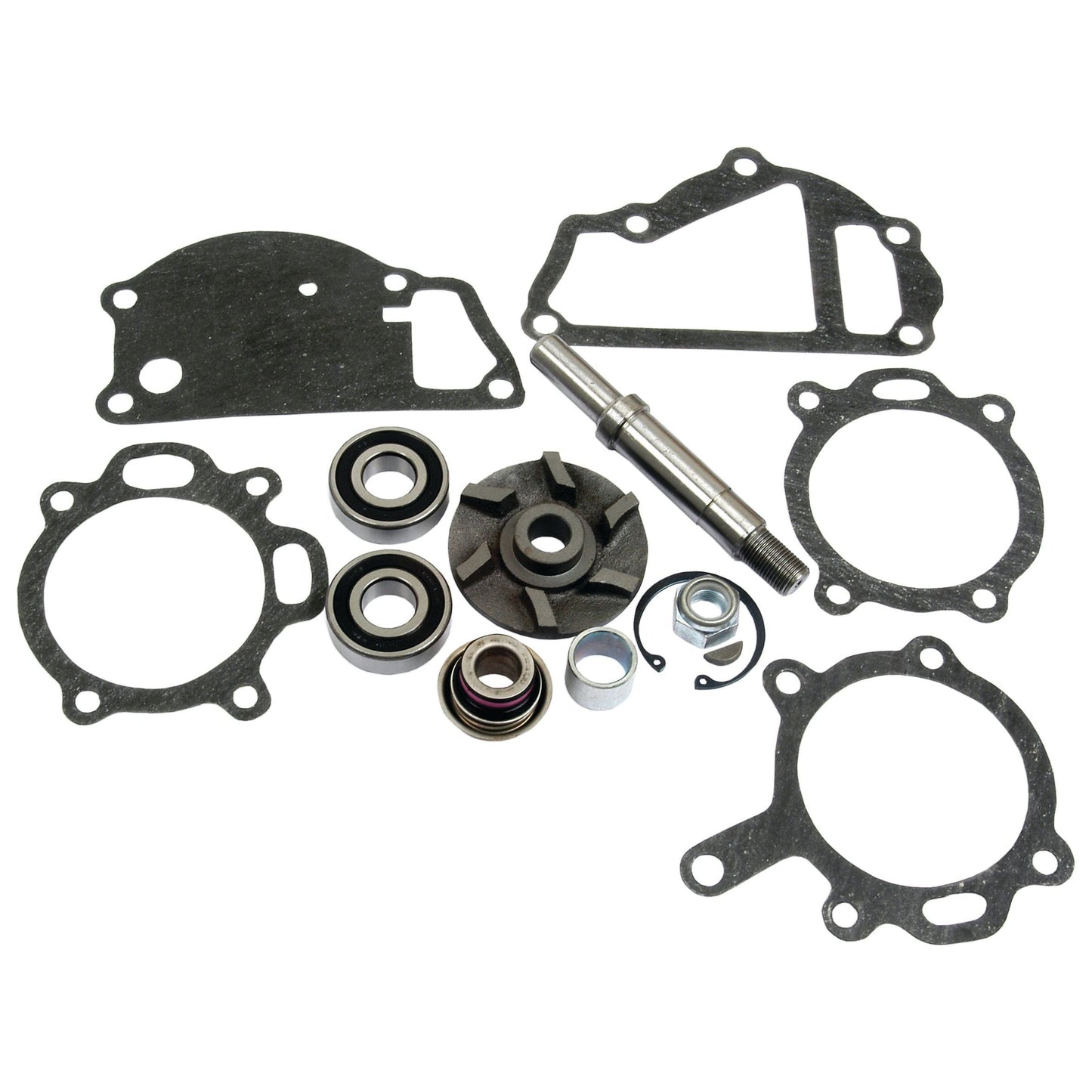 A collection of automotive gaskets, seals, bearings, and a shaft are spread out on a white background, resembling the Sparex Water Pump Repair Kit (Sparex Part No. S.40047).