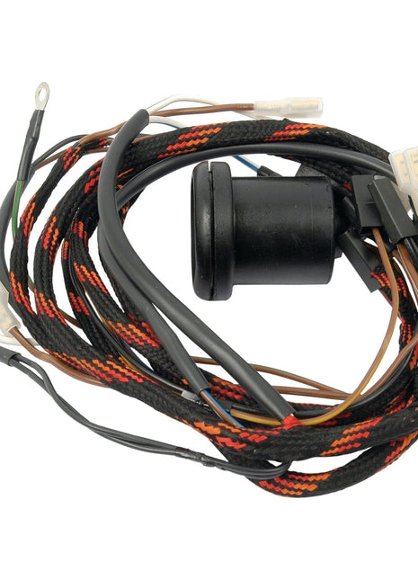 Wiring Harness
 - S.41170 - Massey Tractor Parts