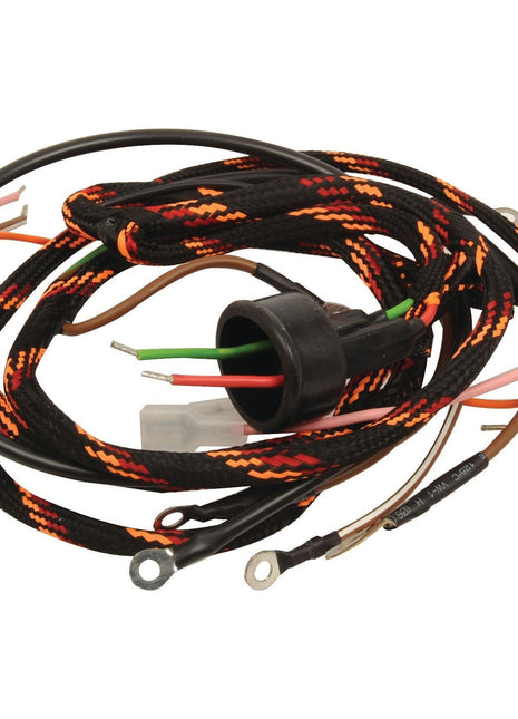 Wiring Harness
 - S.43645 - Massey Tractor Parts