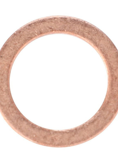Copper Sealing Washer 14mm - X540004278000 - Massey Tractor Parts