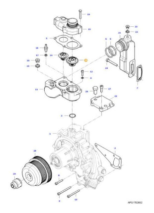 Massey Ferguson - Thermostat - ACW2170430 - Farming Parts