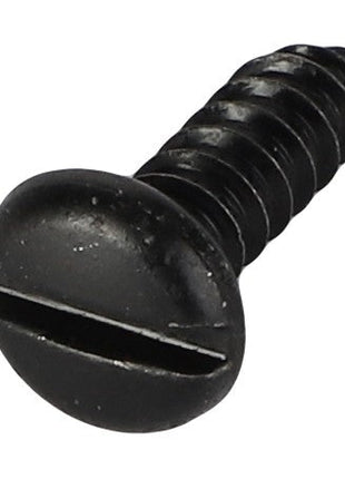 The AGCO Self Tap Screw (3005728X1) with a black, slightly domed top and a slotted head, featuring a threaded body, is displayed against a white background.