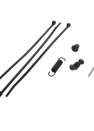 Product Name: AGCO | Small Parts Kit - F930500030630 by AGCO, featuring assorted hardware items such as two black cable ties, a metal spring, screws, bolts, and a rivet are meticulously arranged on a white background.