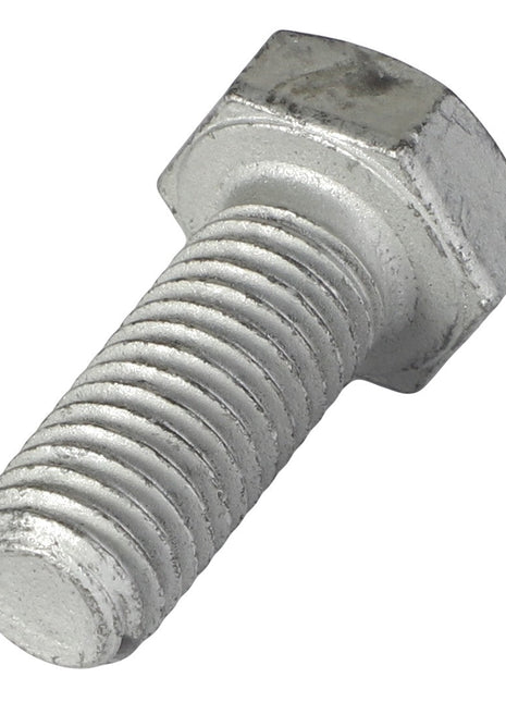 Close-up of the AGCO Hexagonal Head Bolt - 3009506X1, featuring a metallic finish with well-defined threads and a flat, hex-shaped head.