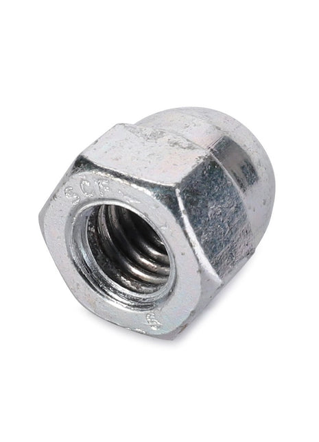 AGCO | Blind Nut - 3005908X1 - Farming Parts