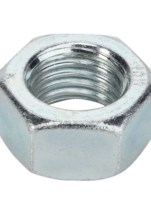 AGCO | Hex Nut - 3009747X1 - Farming Parts