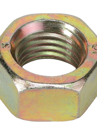 AGCO | Hex Nut - 3009746X1 - Farming Parts