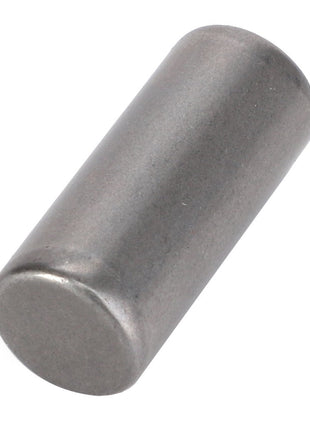 AGCO | Cylinder Pin - F650153021610 - Farming Parts