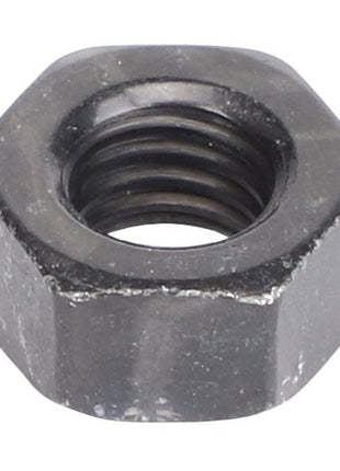 Close-up of the AGCO Hex Nut (Acw0920320) with internal threading, viewed from a slightly elevated angle.