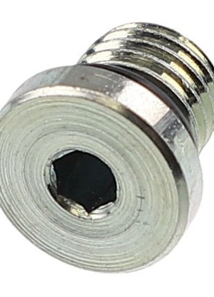 AGCO | O RING - AG334121