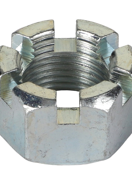 A close-up view of the AGCO | Nut - Acp0006150 reveals six precise notches around its top edge, showcasing its intricate design.