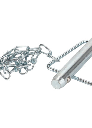 AGCO | PIN - AG719625