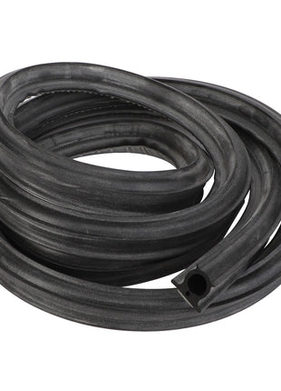 AGCO | Seal - Acw1118960 - Farming Parts