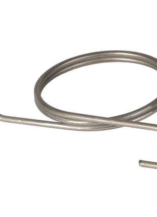 The AGCO | SPRING - AG524140, manufactured by AGCO, is a coiled metal wire with two protruding ends, forming a spring-like shape.