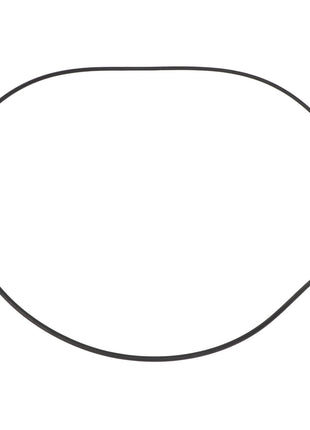 A simple black outline of an irregular, uneven circle on a white background, highlighting the imperfections that stand in contrast to the manufacturing consistency typically found in genuine AGCO Brake Cover O-Rings - AG726347.