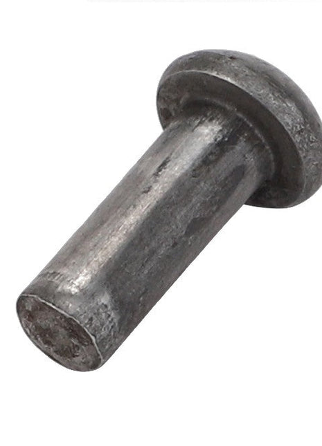 A close-up image of an AGCO | BUTTON HEAD RIVET - ACY9500730, featuring a metallic cylindrical body and a rounded head against a white background.