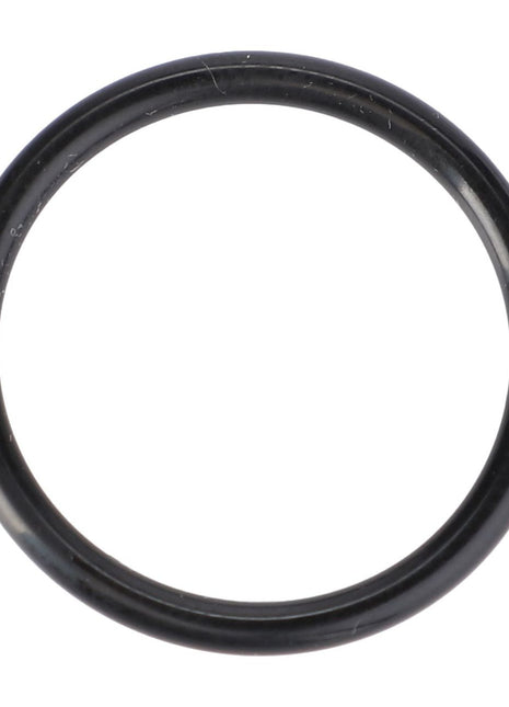 AGCO | O-Ring, Ø 22,3 X 2,4 Mm - X548868966000 - Massey Tractor Parts