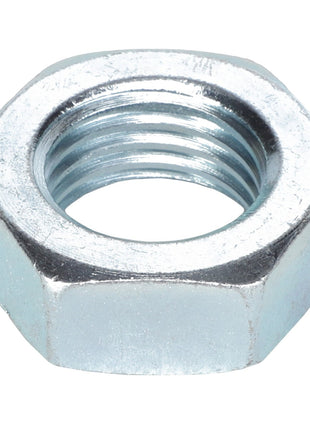 The AGCO | NUT - EP2055 is a robust metallic hexagonal nut featuring precise internal threading.