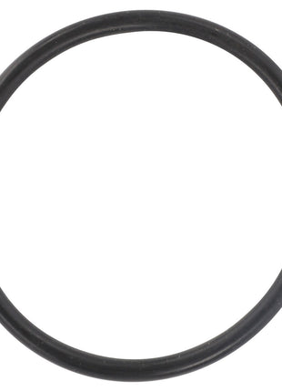 The AGCO O Ring - 3008830X1, presented with no current product description available, displayed against a plain white background.