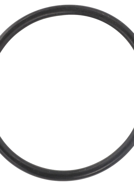 The AGCO O Ring - 3008830X1, presented with no current product description available, displayed against a plain white background.