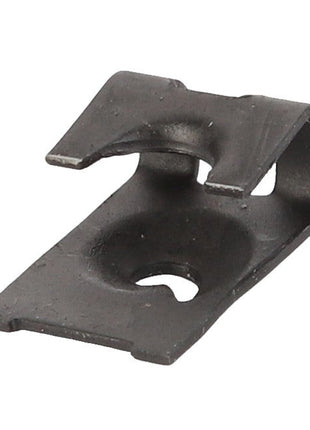 AGCO | CLIP - D43429900