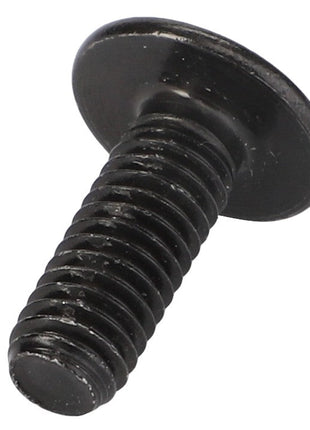 A black metal screw with a flat, slotted head and threaded body, identified as AGCO | Screw - Acp0668850 by the brand AGCO.