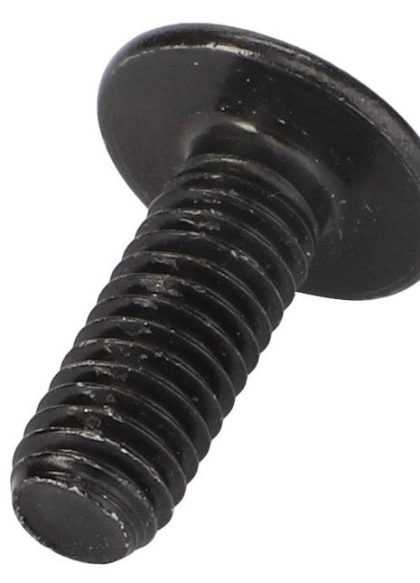 A black metal screw with a flat, slotted head and threaded body, identified as AGCO | Screw - Acp0668850 by the brand AGCO.