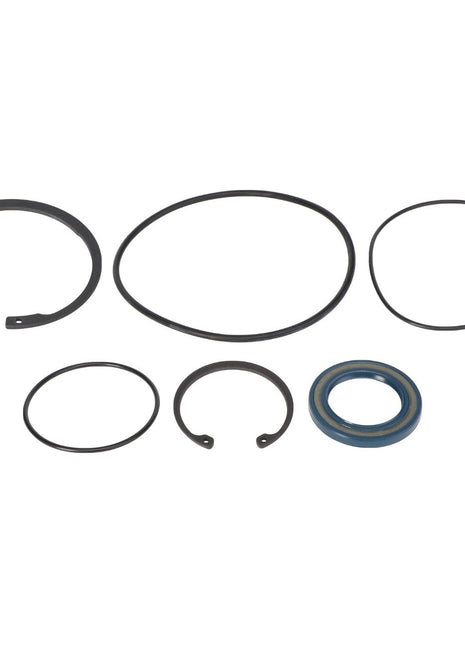 AGCO | O-RING SEAL - AG059115