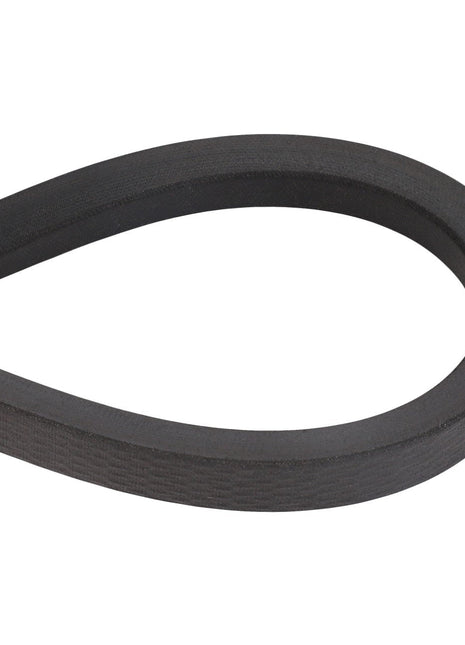 AGCO | V BELT - D41970100