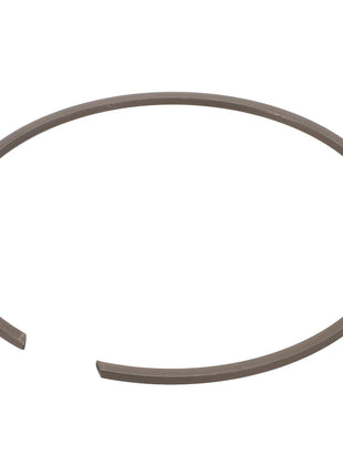 A single AGCO Internal Retaining Ring - 3002189X1, gray in color, is displayed against a white background. The ring is circular with a small gap, indicating it is not a complete loop. No current product description available.