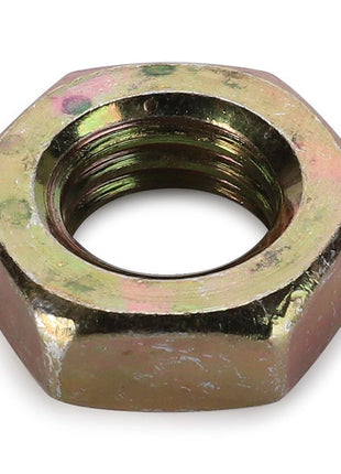 AGCO | LOCKNUT - D41012100