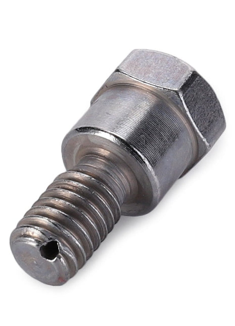 AGCO | BLEED SCREW - F916200060090