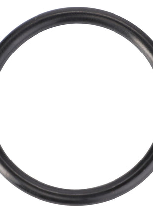 AGCO | O-Ring, Load Sensing Hydraulics, Ø 34,52 X 3,53 Mm - 70924270 - Massey Tractor Parts
