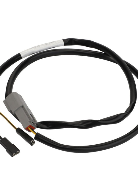 The AGCO Wiring Harness - Acp0678520 is a black electrical cable featuring a gray connector on one end and two smaller black connectors on the other, neatly coiled into a loop.