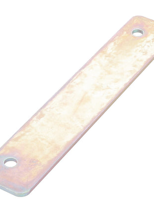 The AGCO | Seal Plate - Acw1748360 is a metal plate with a rectangular shape and two holes at either end, from the brand AGCO. Please note that no current product description information is available at this time.