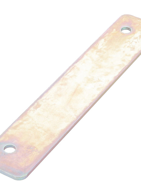 The AGCO | Seal Plate - Acw1748360 is a metal plate with a rectangular shape and two holes at either end, from the brand AGCO. Please note that no current product description information is available at this time.