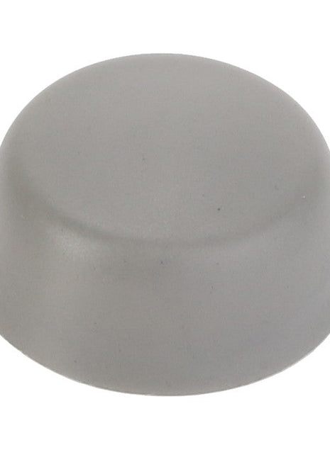 AGCO | CAP - D45748500