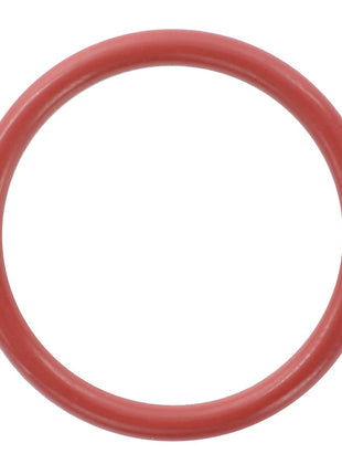 AGCO | O-Ring, Control Valve & End Plate - F916961020080