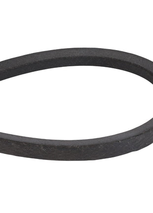 AGCO | BELT - D41938900