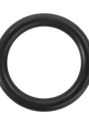 A sleek AGCO O-Ring (Acp0663360) set against a pristine white background.